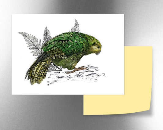 Kākāpō magnet - tuiornottui.com