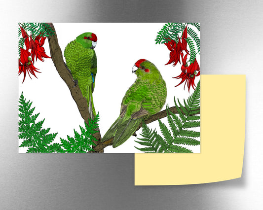 Kākāriki & Karabeak magnet - tuiornottui.com