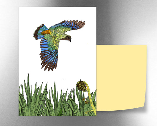 Kea & Koru magnet - tuiornottui.com