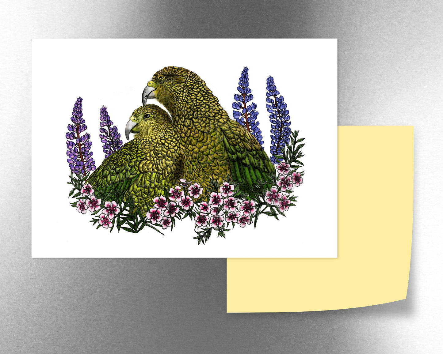 Kea, Mānuka & Lupin magnet - tuiornottui.com