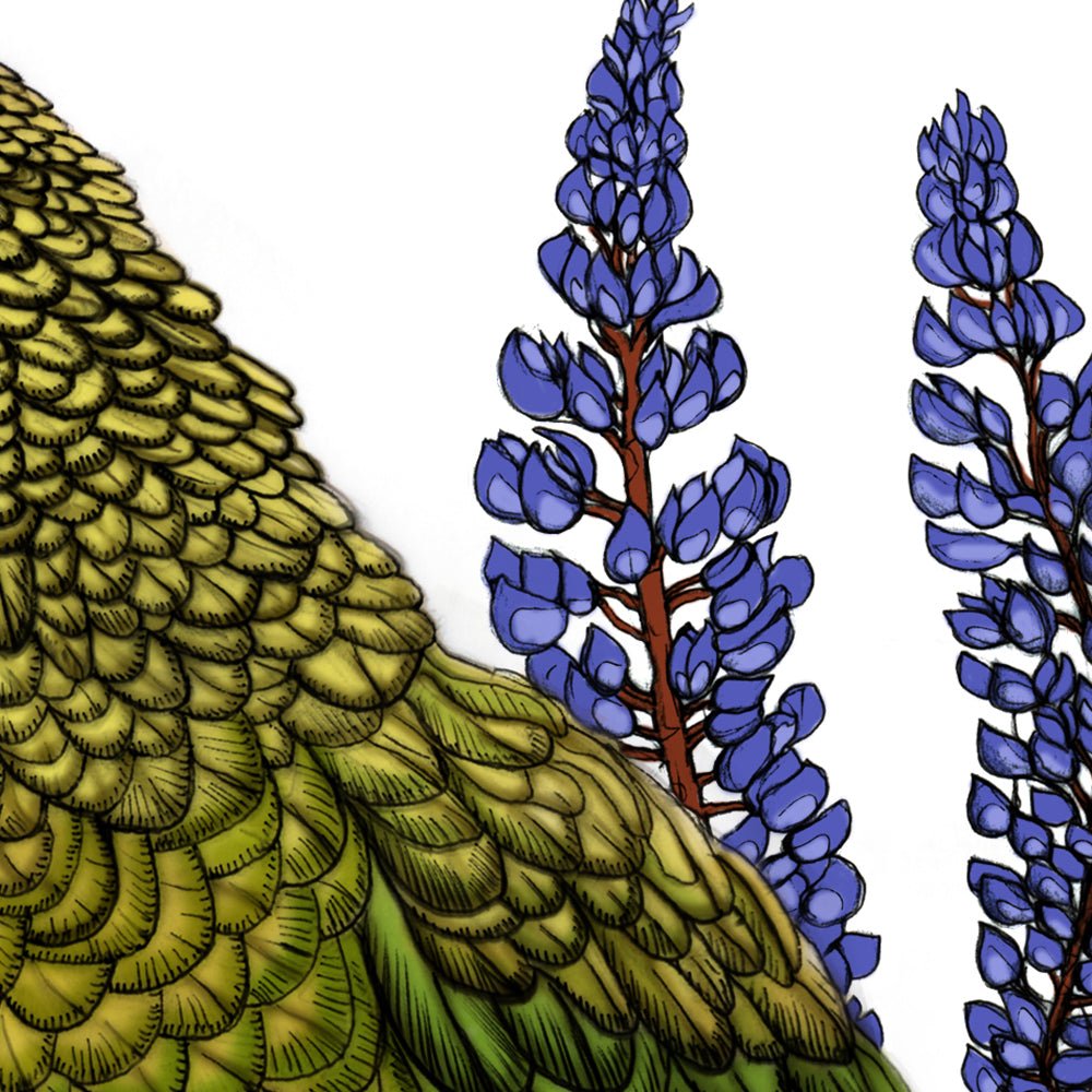 Kea, Mānuka & Lupin – NZ Native Bird & Botanical Giclée Art Print - tuiornottui.com