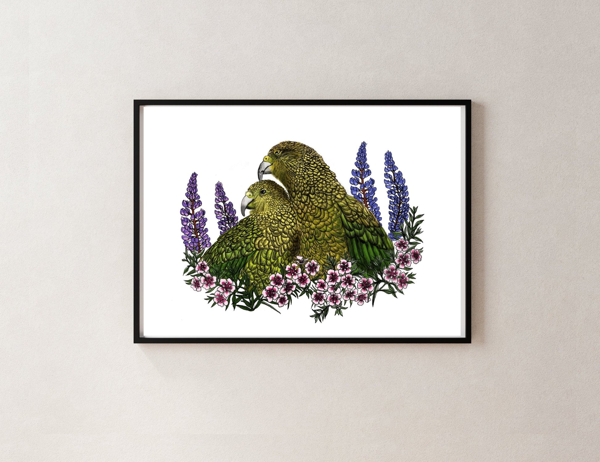 Kea, Mānuka & Lupin – NZ Native Bird & Botanical Giclée Art Print - tuiornottui.com