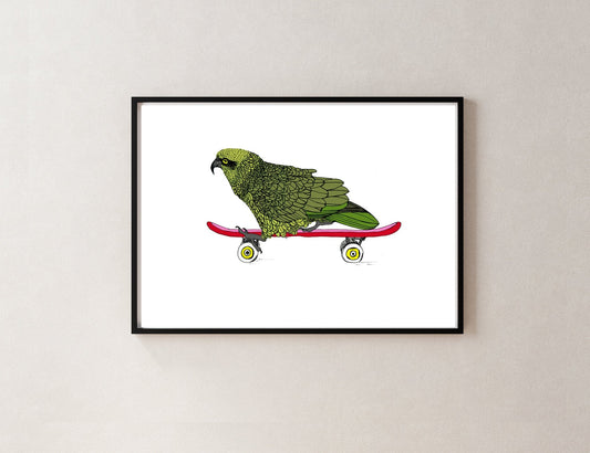 Kea on a Skateboard – NZ Native Bird Giclée Print | Illustrated Art - tuiornottui.com
