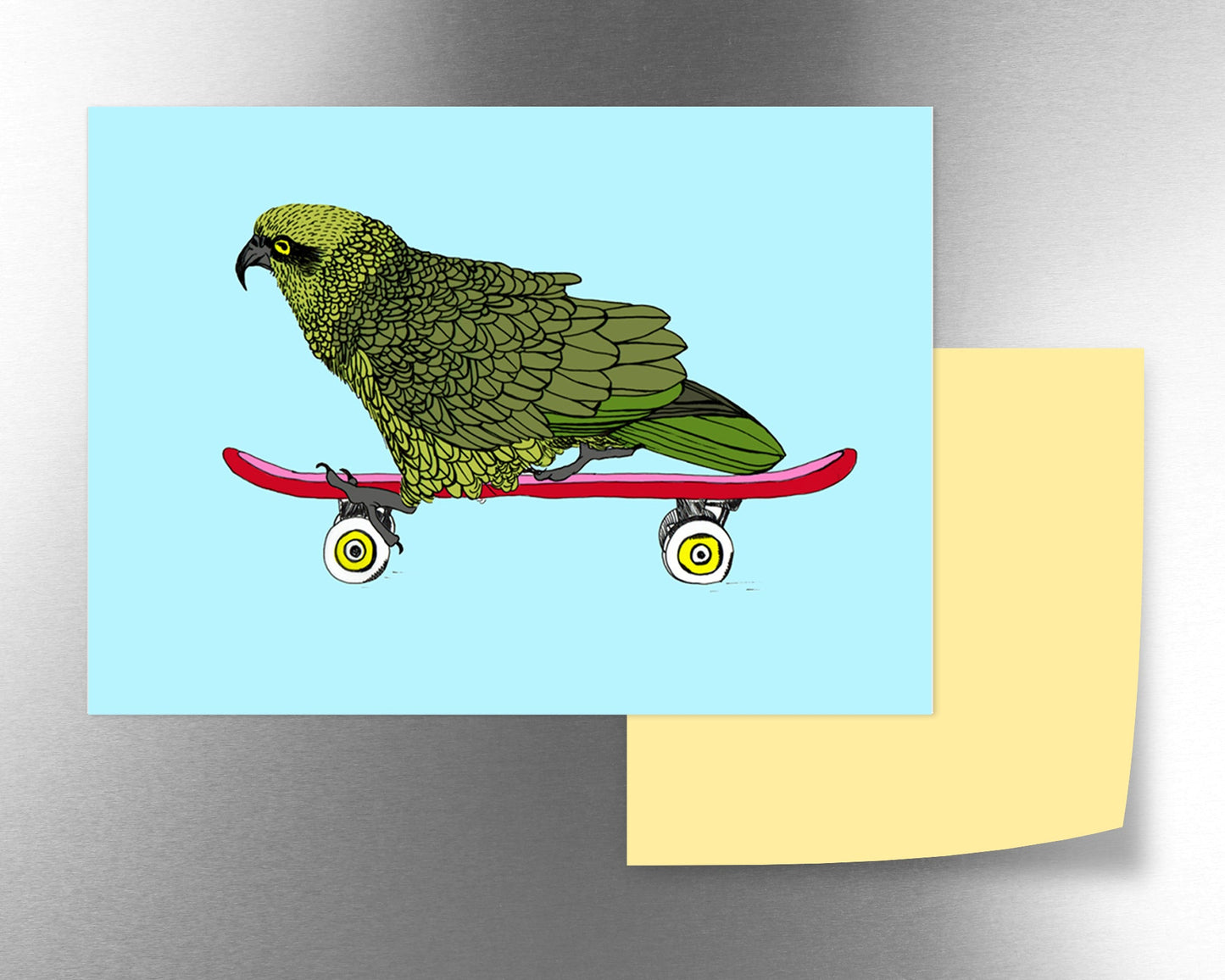 Kea Skate magnet - tuiornottui.com