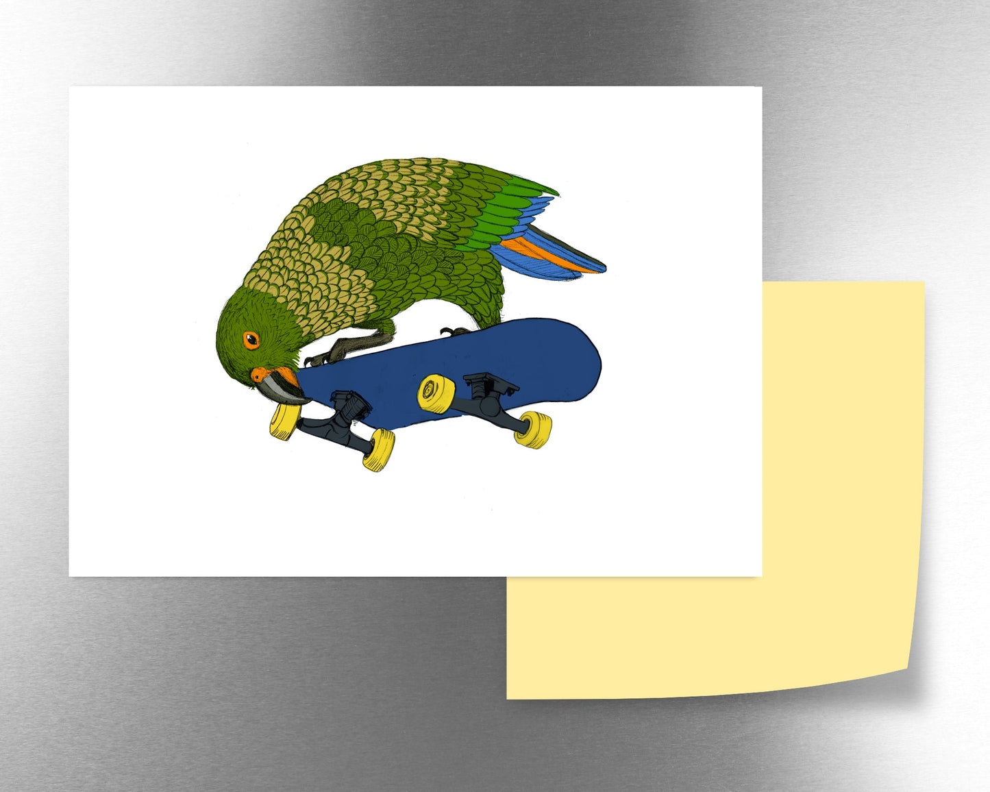 Kea Tweak manget - tuiornottui.com
