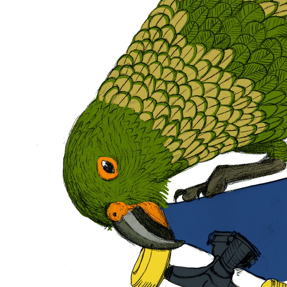 Kea Tweak – NZ Alpine Parrot Giclée Art Print - tuiornottui.com