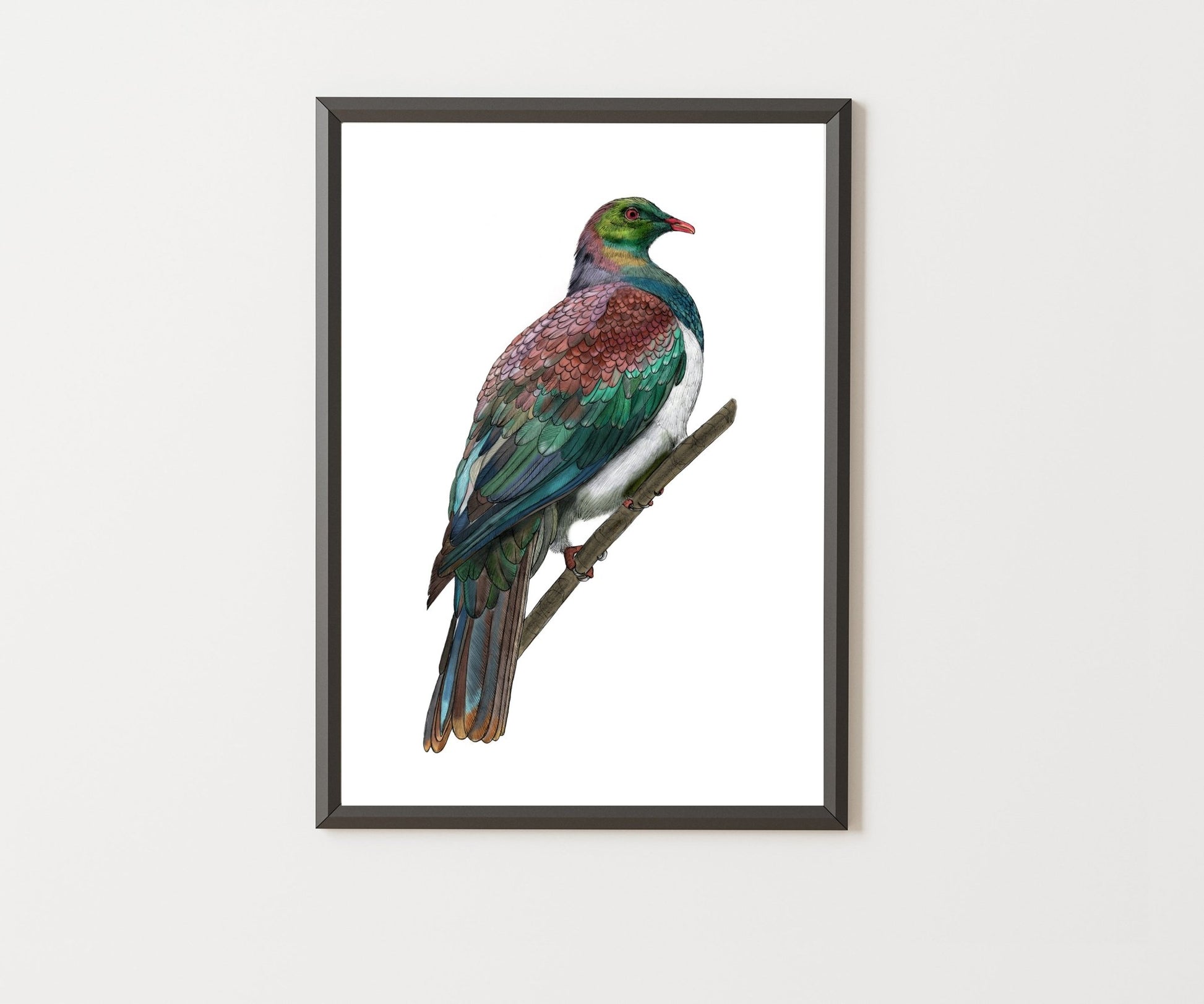 Kererū Giclée print - tuiornottui.com