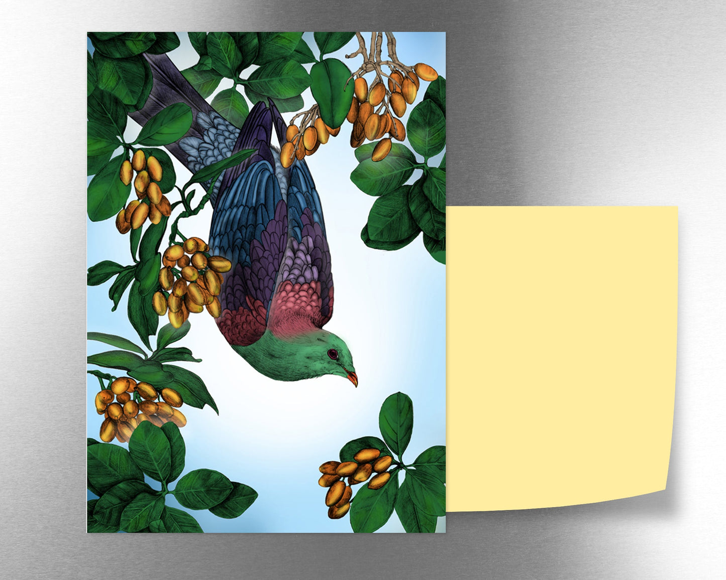 Kereru Karaka magnet - tuiornottui.com