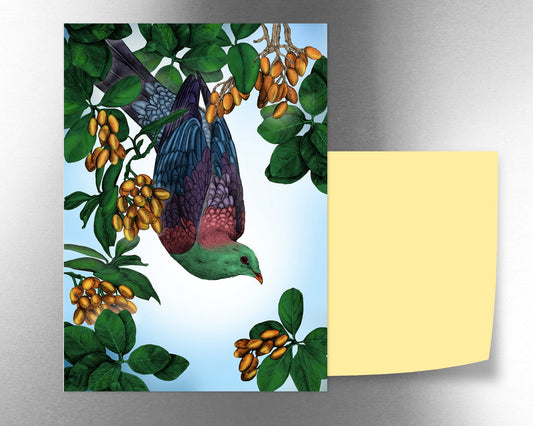 Kereru Karaka magnet - tuiornottui.com