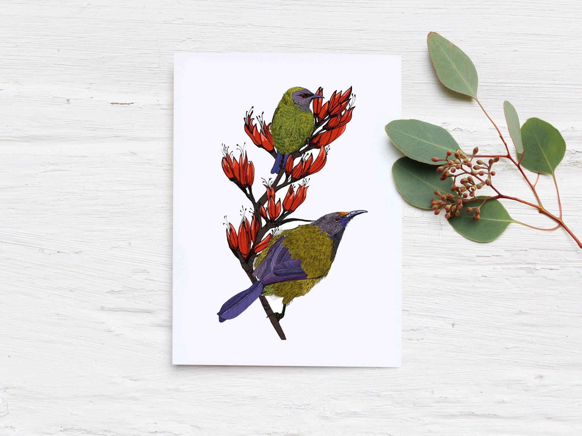 Korimako & Harakeke flowers greeting card - tuiornottui.com