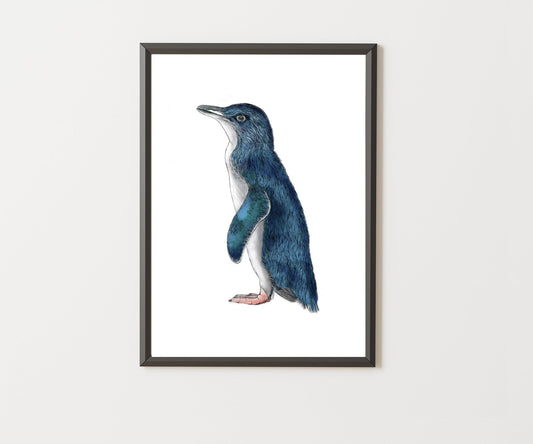 Kororā Art Print | Little Blue Penguin A3 Giclée Print | NZ Native Bird Illustration | Fine Art Wall Decor | Free Shipping - tuiornottui.com
