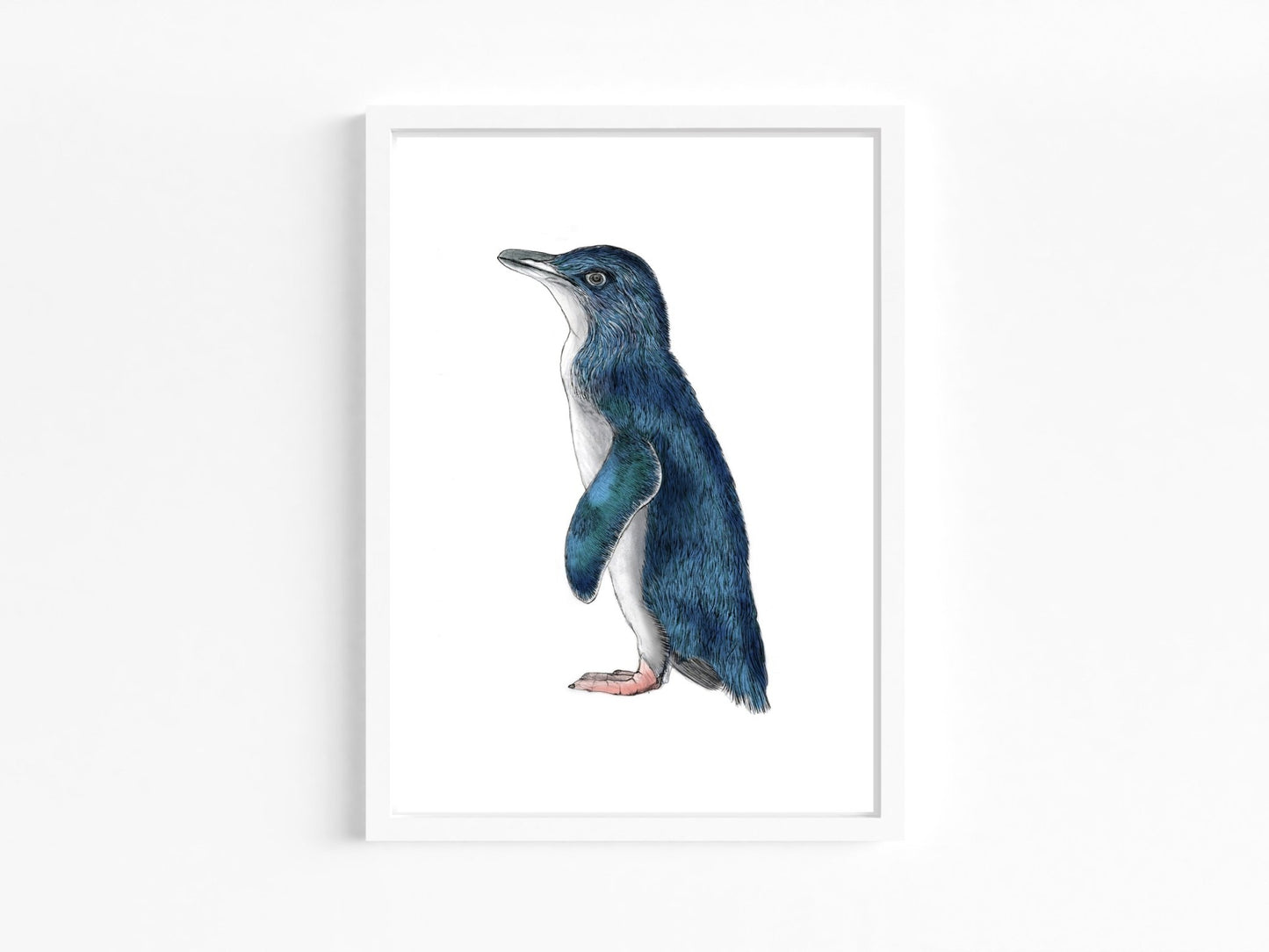 Kororā Art Print | Little Blue Penguin A3 Giclée Print | NZ Native Bird Illustration | Fine Art Wall Decor | Free Shipping - tuiornottui.com