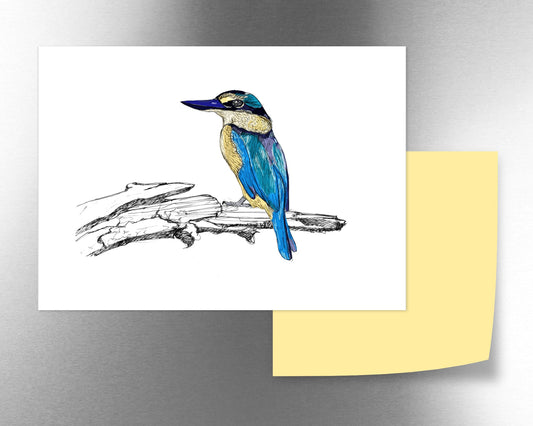 Kotare magnet - tuiornottui.com