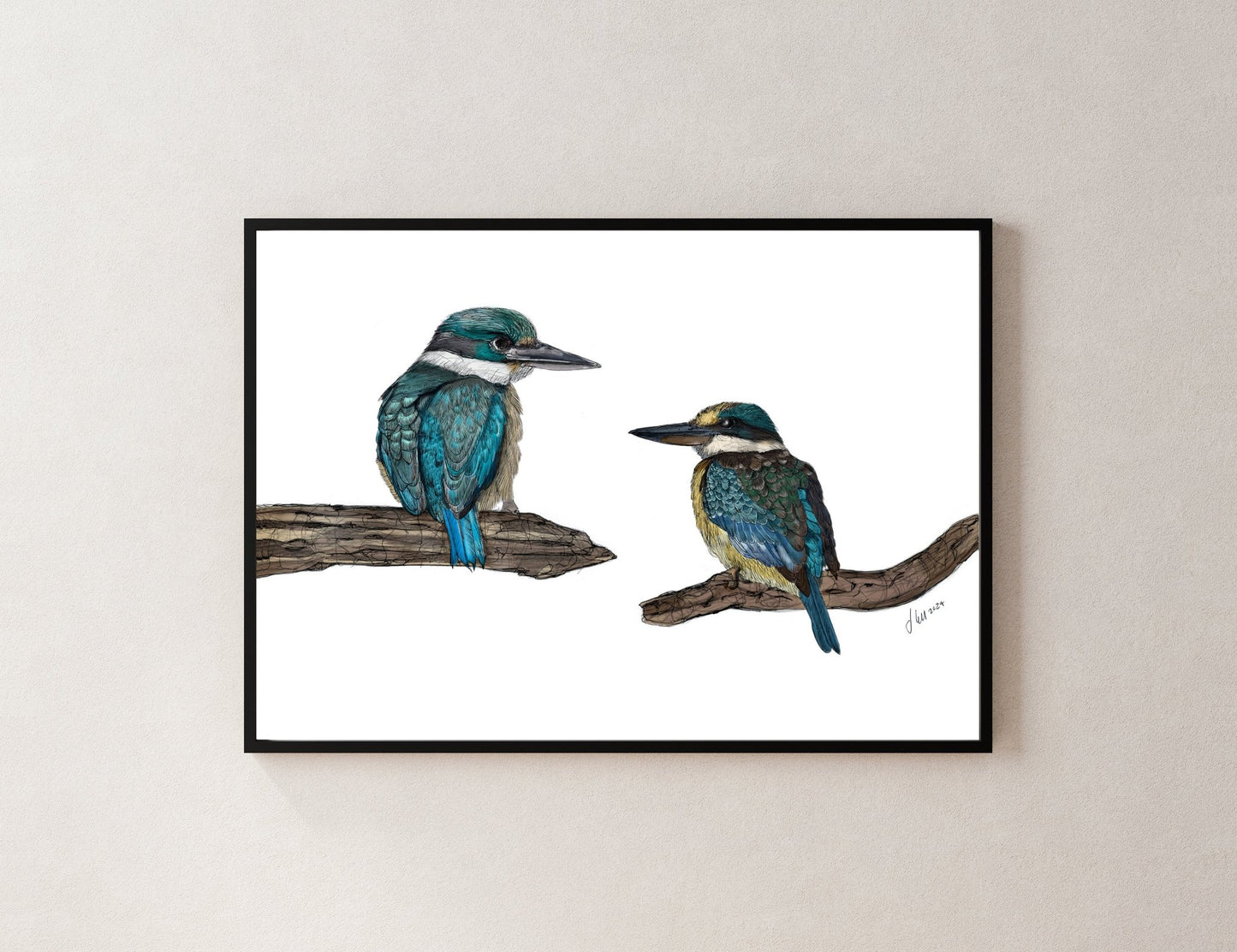 Kōtare (Sacred Kingfisher) – Fine Art Giclée Print | NZ Native Bird Illustration - tuiornottui.com