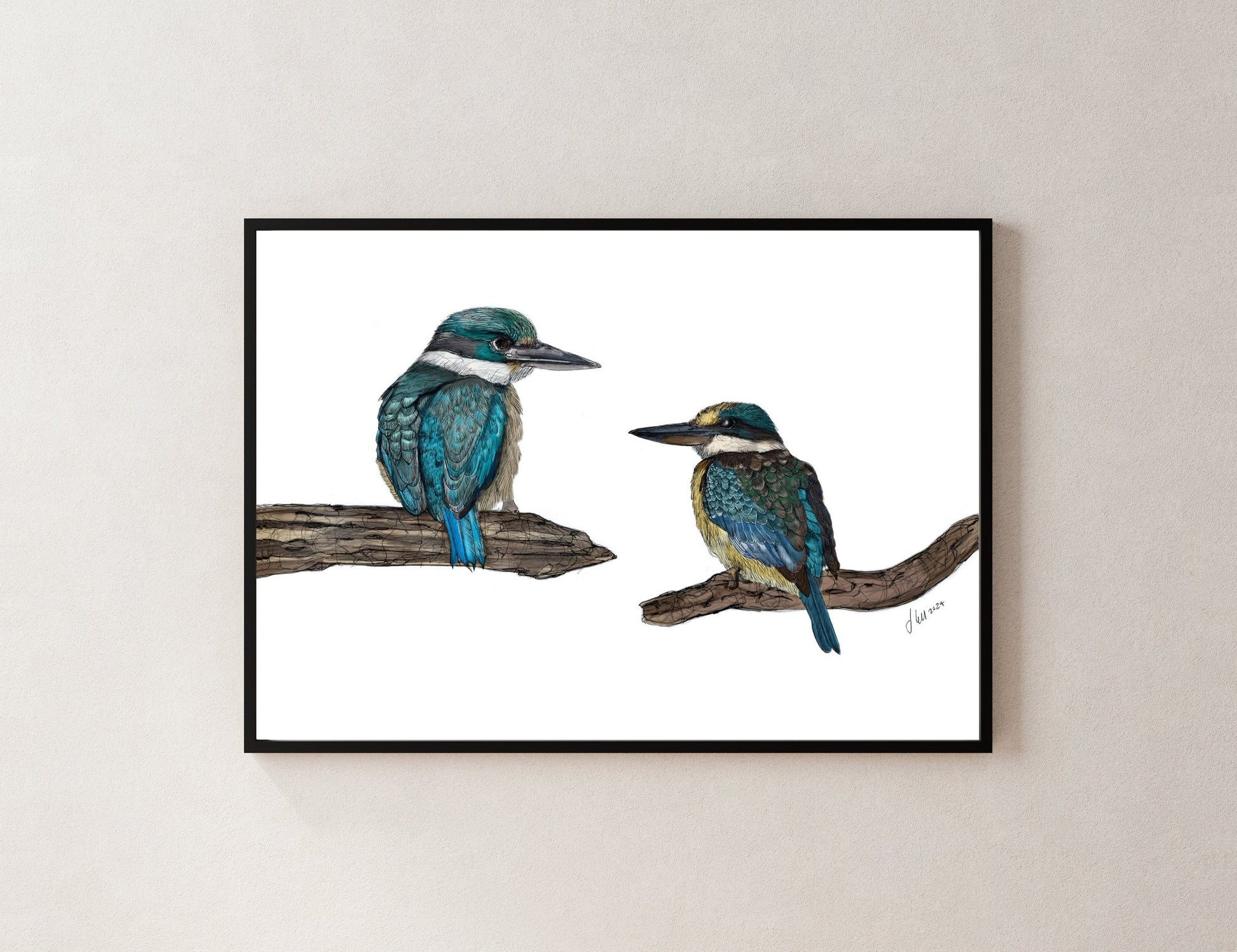 Kōtare (Sacred Kingfisher) – Fine Art Giclée Print | NZ Native Bird Illustration - tuiornottui.com