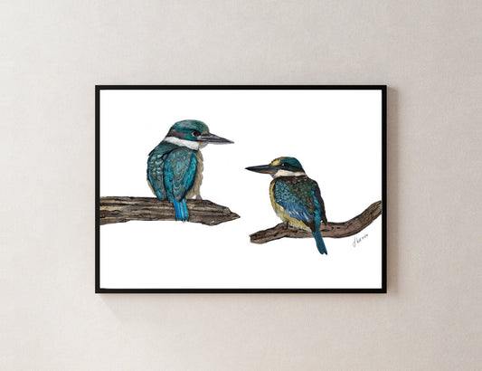 Kōtare (Sacred Kingfisher) – Fine Art Giclée Print | NZ Native Bird Illustration - tuiornottui.com