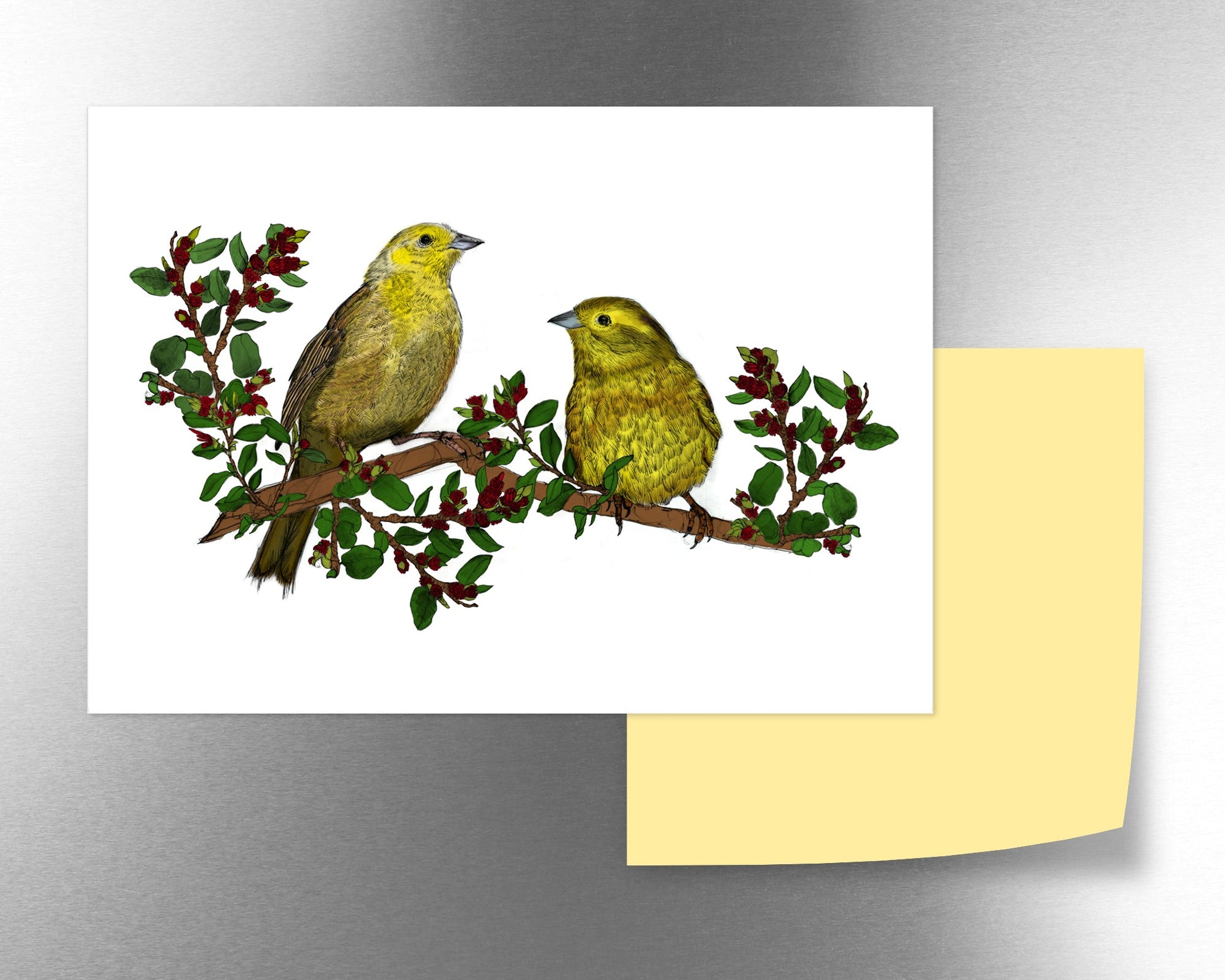 Mohua & native New Zealand beech magnet - tuiornottui.com