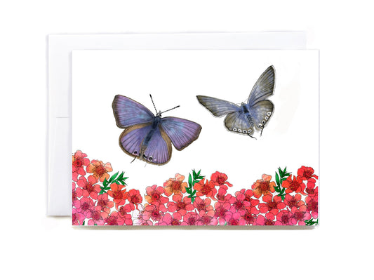 Native NewZealand Long - tailed blue butterfly - tuiornottui.com