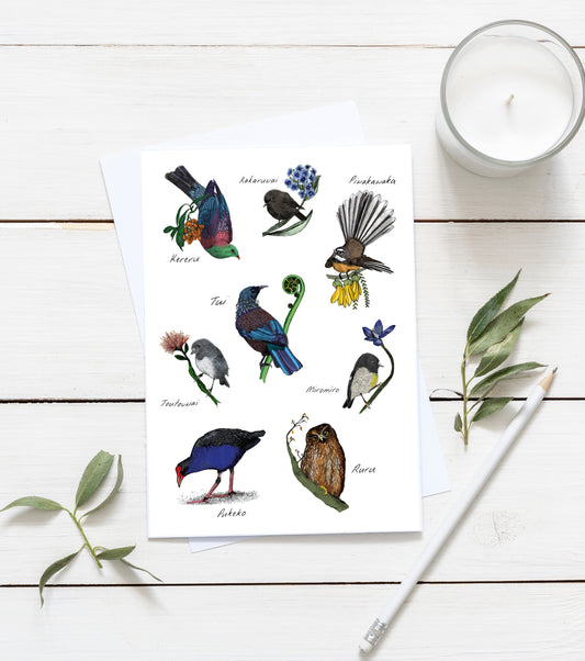 New Zealand native bird greeting card