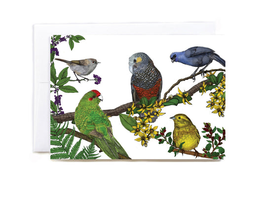 New Zealand Bird 3 greeting card - tuiornottui.com