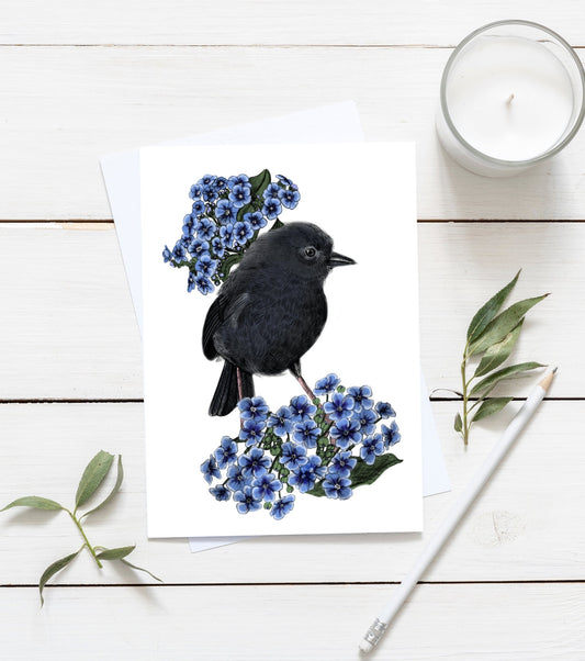 New Zealand Black Robin & Chatham island forget - me - not flowers greeting card - tuiornottui.com
