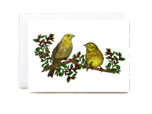 New Zealand Mohua (Yellowhead) & native beech greeting card - tuiornottui.com