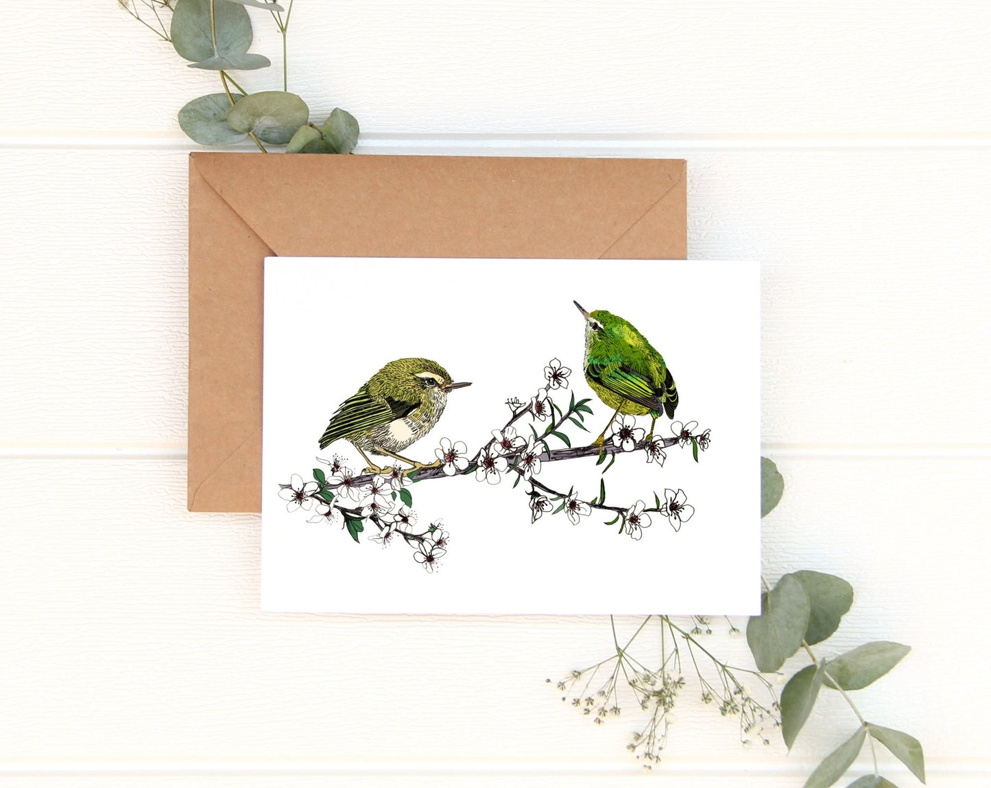 New Zealand Tītipounamu (Rifleman) & Mānuka greeting card - tuiornottui.com