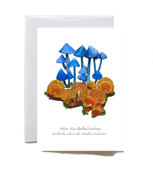 New Zealand Werewere - kokako mushroom greeting card - tuiornottui.com