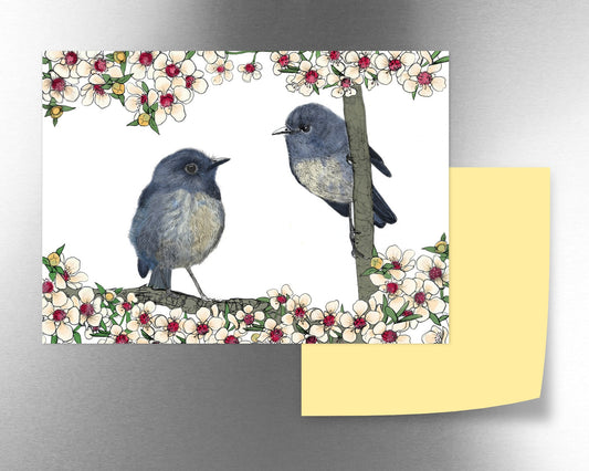 NZ Robin & Mānuka magnet - tuiornottui.com