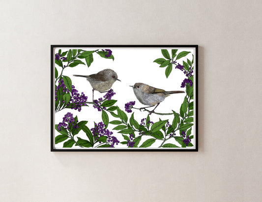 Riroriro & Māhoe – NZ Native Bird & Botanical Giclée Art Print - tuiornottui.com