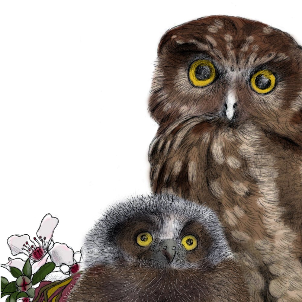 Ruru Print | Morepork Owl Art | Native New Zealand Bird Painting | Wildlife Wall Art by NZ Artist - tuiornottui.com