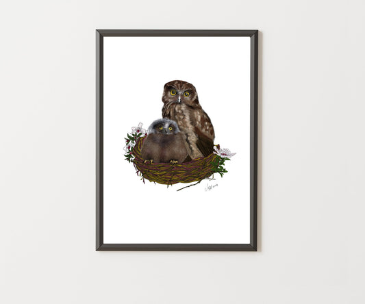 Ruru Print | Morepork Owl Art | Native New Zealand Bird Painting | Wildlife Wall Art by NZ Artist - tuiornottui.com