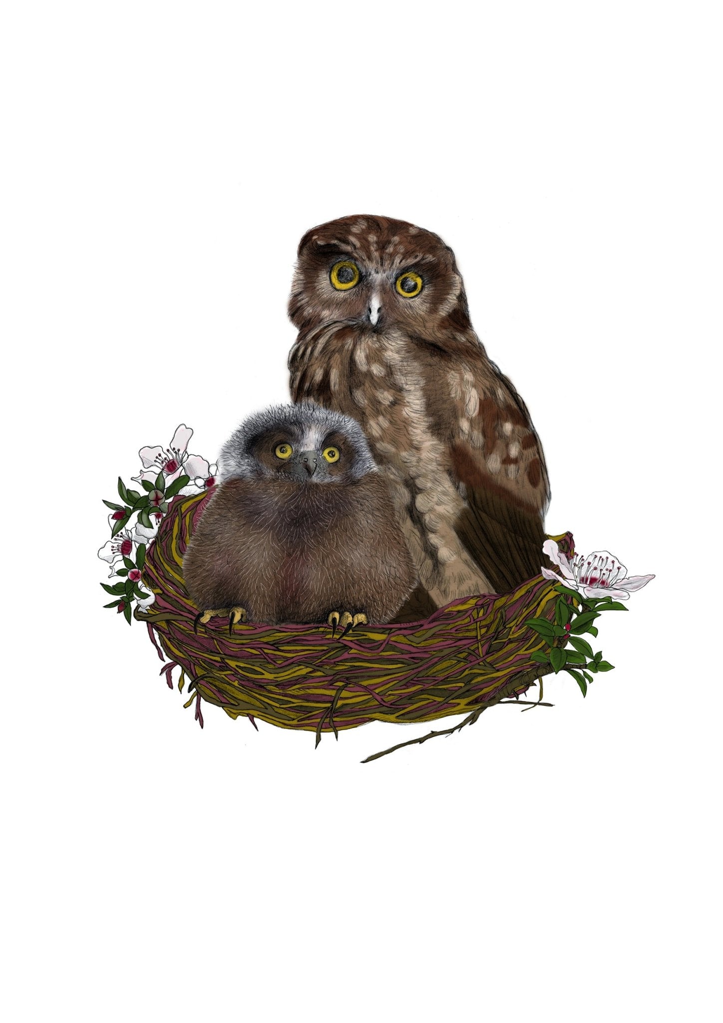 Ruru Print | Morepork Owl Art | Native New Zealand Bird Painting | Wildlife Wall Art by NZ Artist - tuiornottui.com