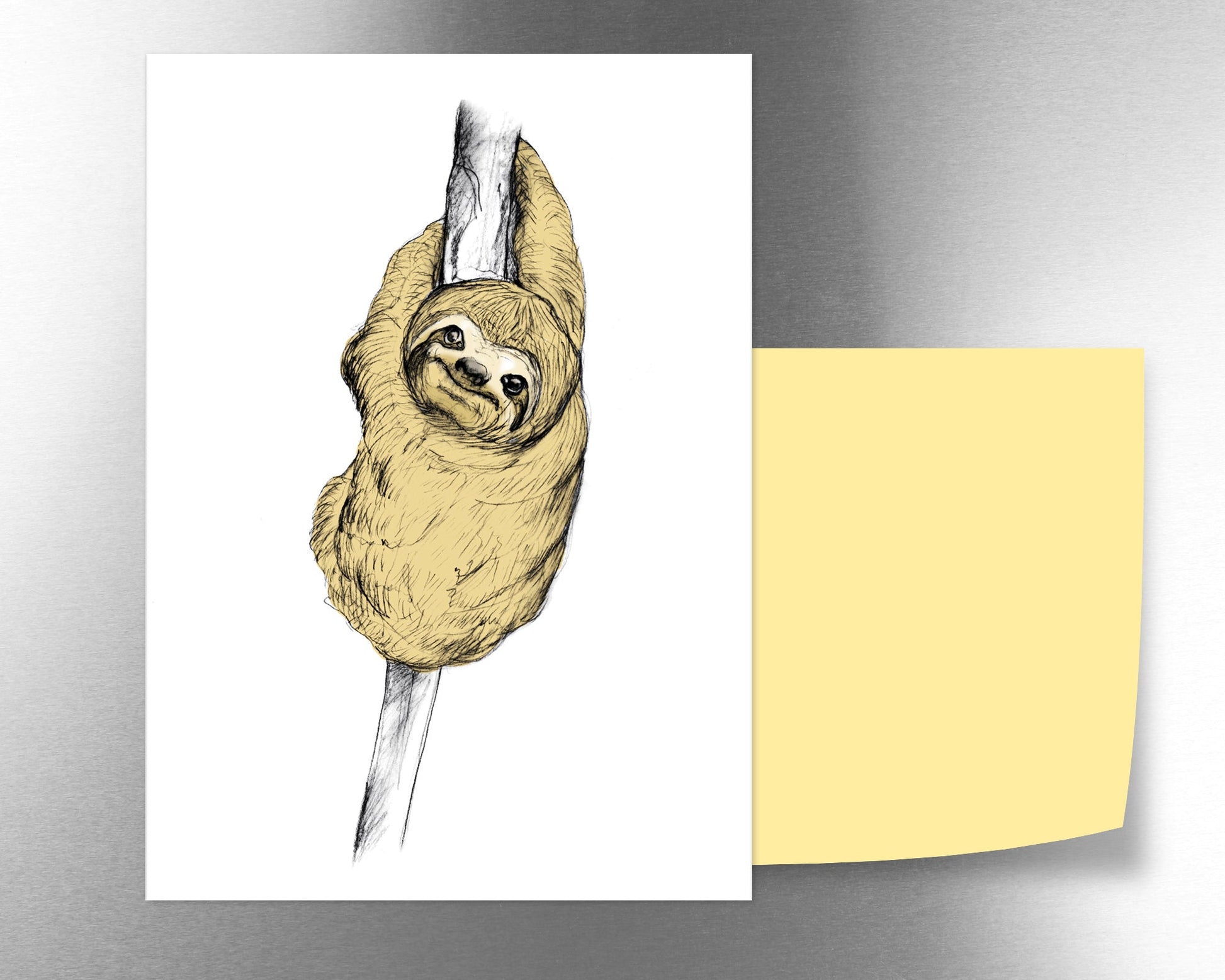 Sloth magnet - tuiornottui.com