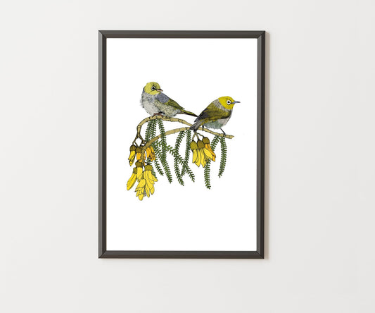 Tauhou & Kowhai | NZ Native Bird & Botanical Giclée Art Print - tuiornottui.com