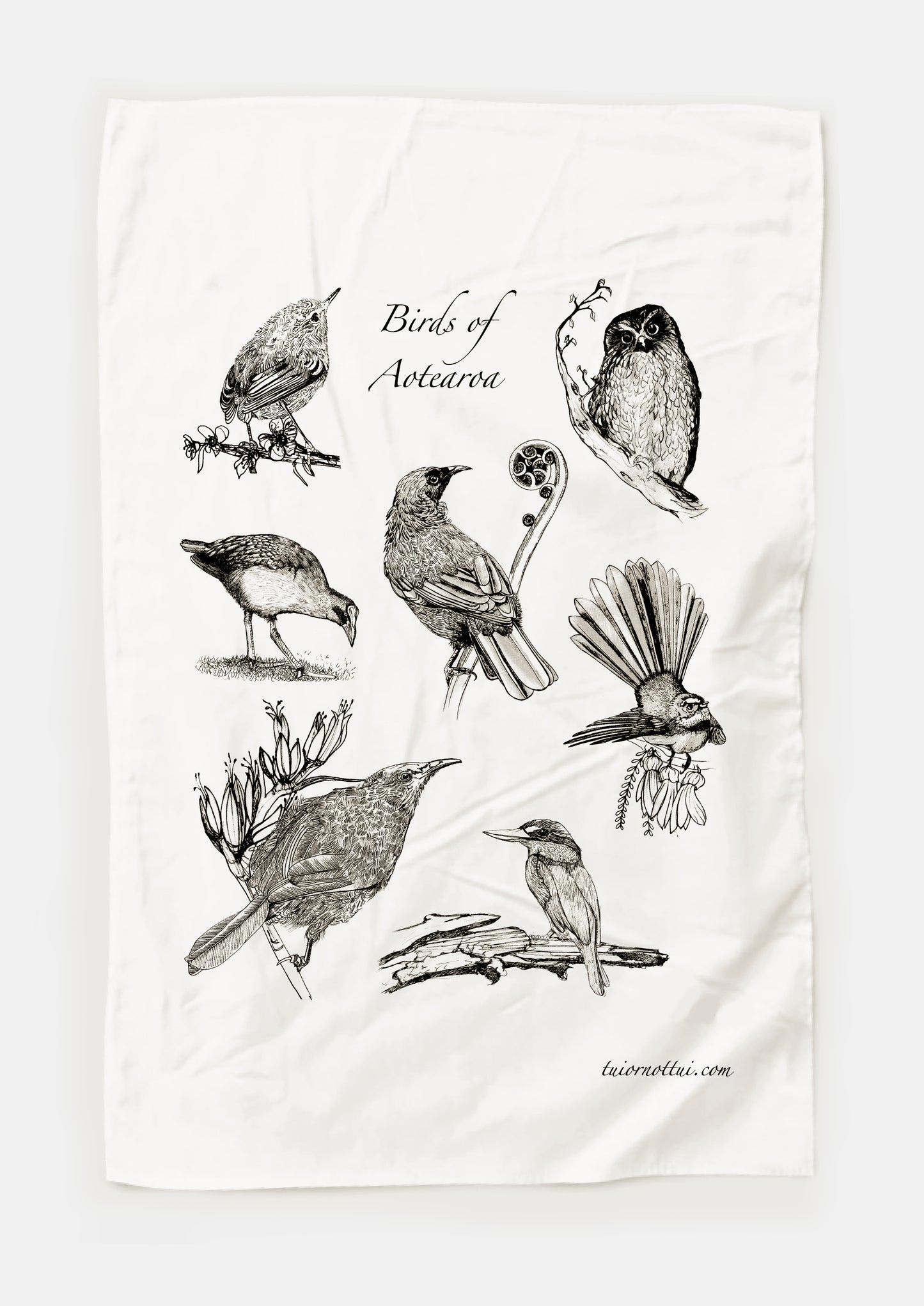 Birds of Aotearoa