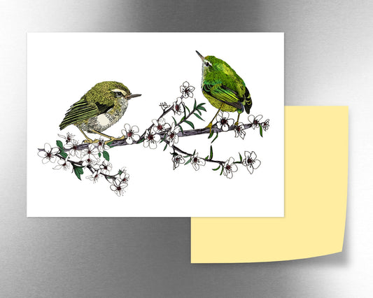 Tītipounamu & mānuka magnet - tuiornottui.com