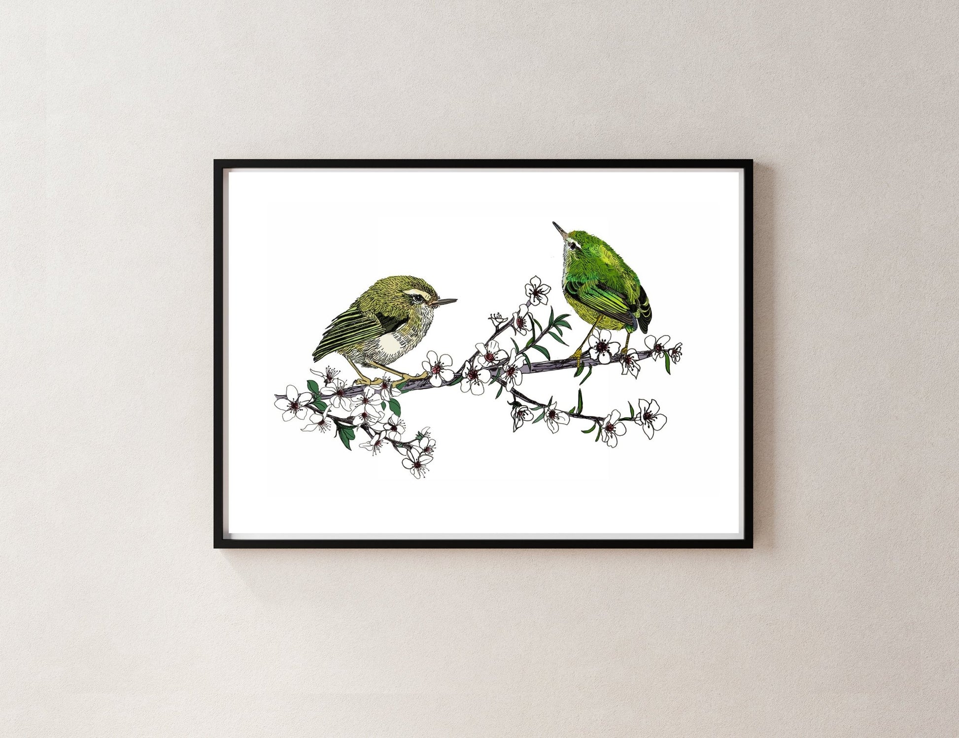 Tītipounamu & Mānuka – NZ Native Bird & Botanical Giclée Art Print - tuiornottui.com