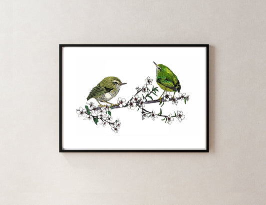 Tītipounamu & Mānuka – NZ Native Bird & Botanical Giclée Art Print - tuiornottui.com