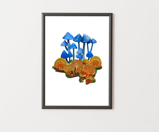 Werewere - kōkako Mushroom Art Print | Native NZ Blue Pinkgill | Fine Art Illustration | A5 A4 A3 A2 | Local New Zealand Artist - tuiornottui.com