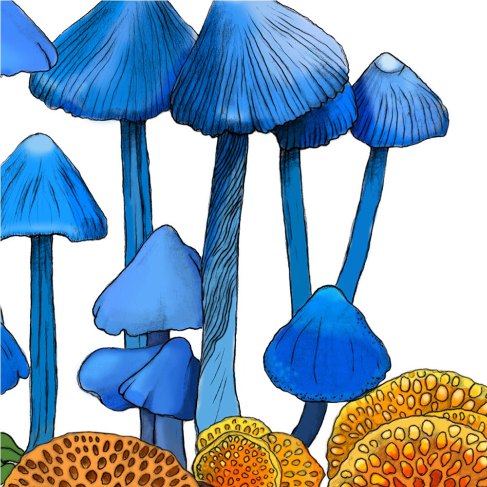Werewere - kōkako Mushroom Art Print | Native NZ Blue Pinkgill | Fine Art Illustration | A5 A4 A3 A2 | Local New Zealand Artist - tuiornottui.com